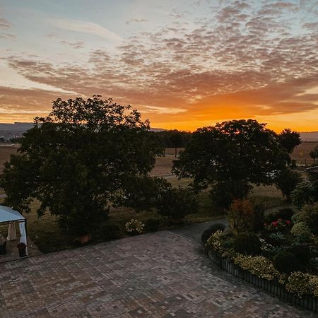 Weingut U. Gaestehaus Vogt-Fehlinger Biebelsheim Екстер'єр фото