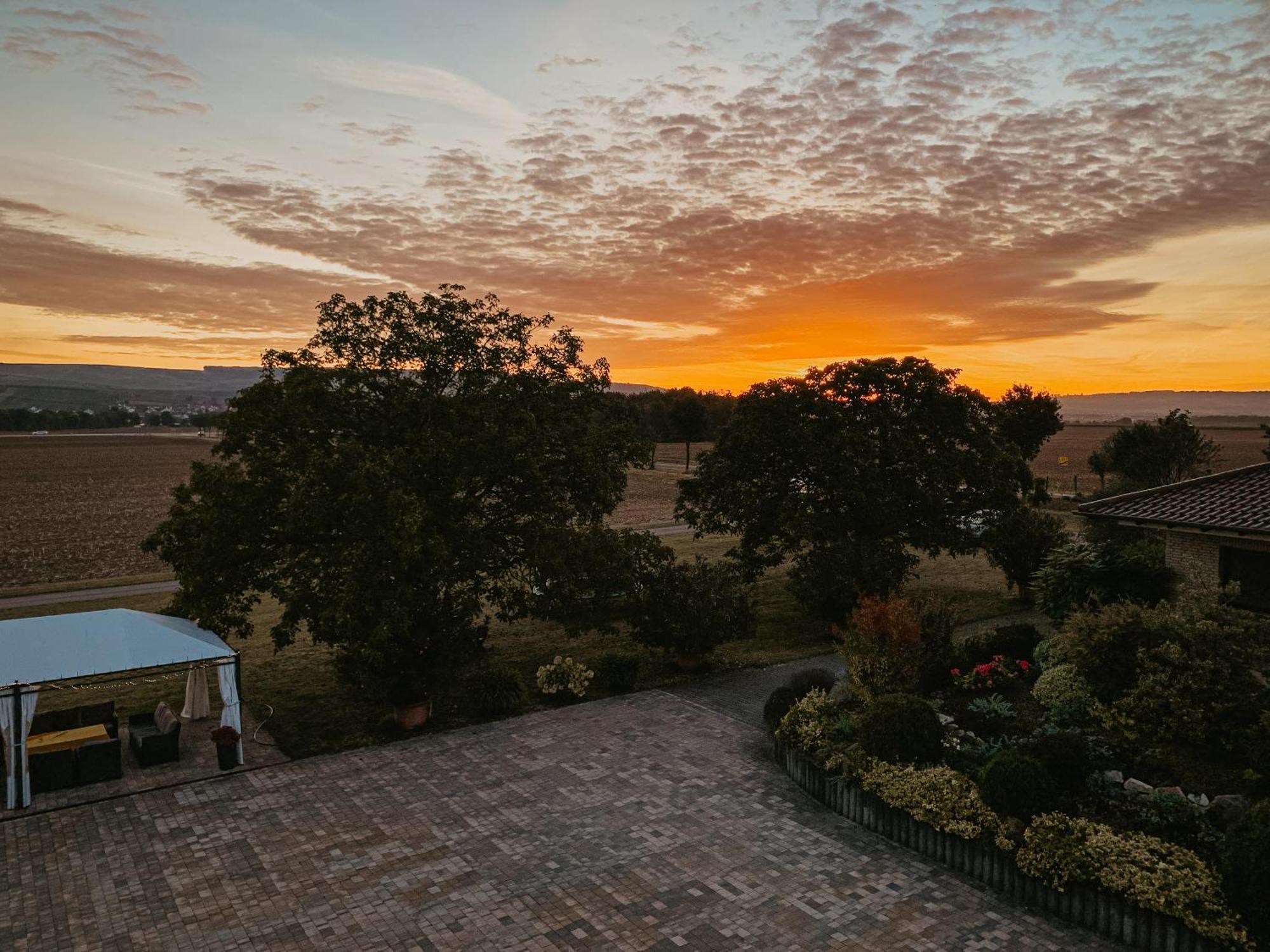 Weingut U. Gaestehaus Vogt-Fehlinger Biebelsheim Екстер'єр фото